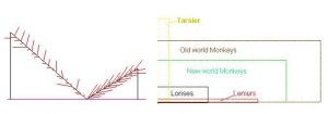 diversification-chart 2