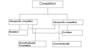 diversification-competition chart