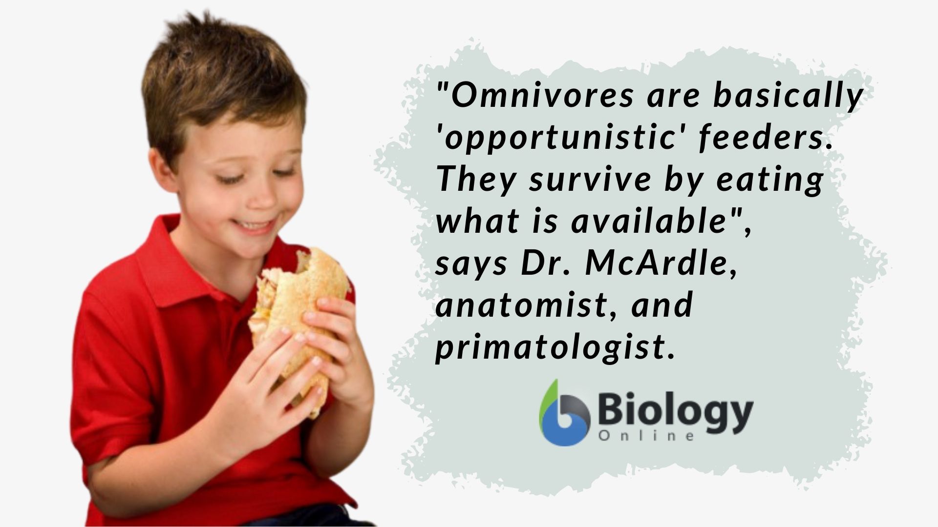 Humans are Omnivores - Evidence - Biology Online Archive Article