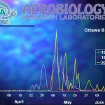 Slide showing the season start of birch in Ottawa