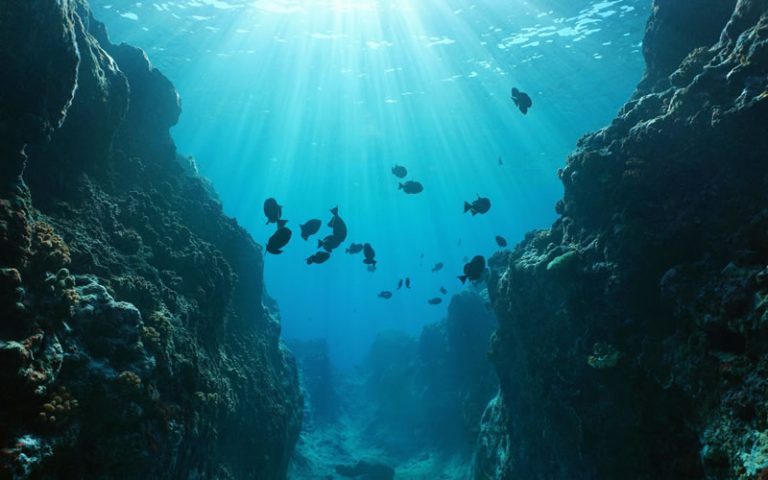 Ocean floor