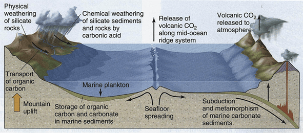 seafloor