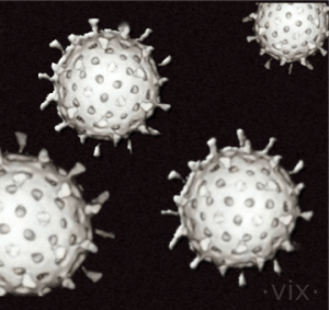 Epstein-Barr virus illustration