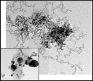 biogenic production of nanoparticles
