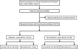 Causes in Maternal Respiratory failure - chart