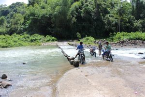 Tropical Asian River