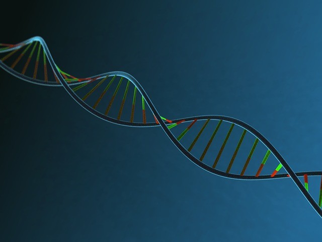 Nucleic acid