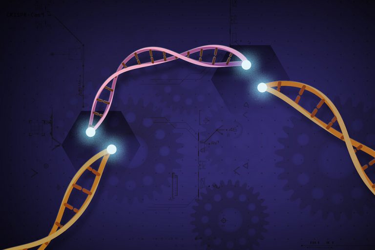 crispr cas9 gene editing