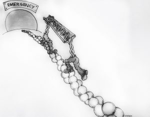 myosin in DNA repair illustration by Vix