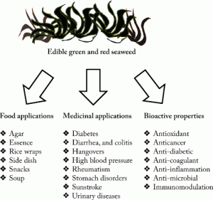 edible green and red seaweed