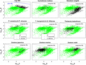 Biomass-Density of Seagrasses chart