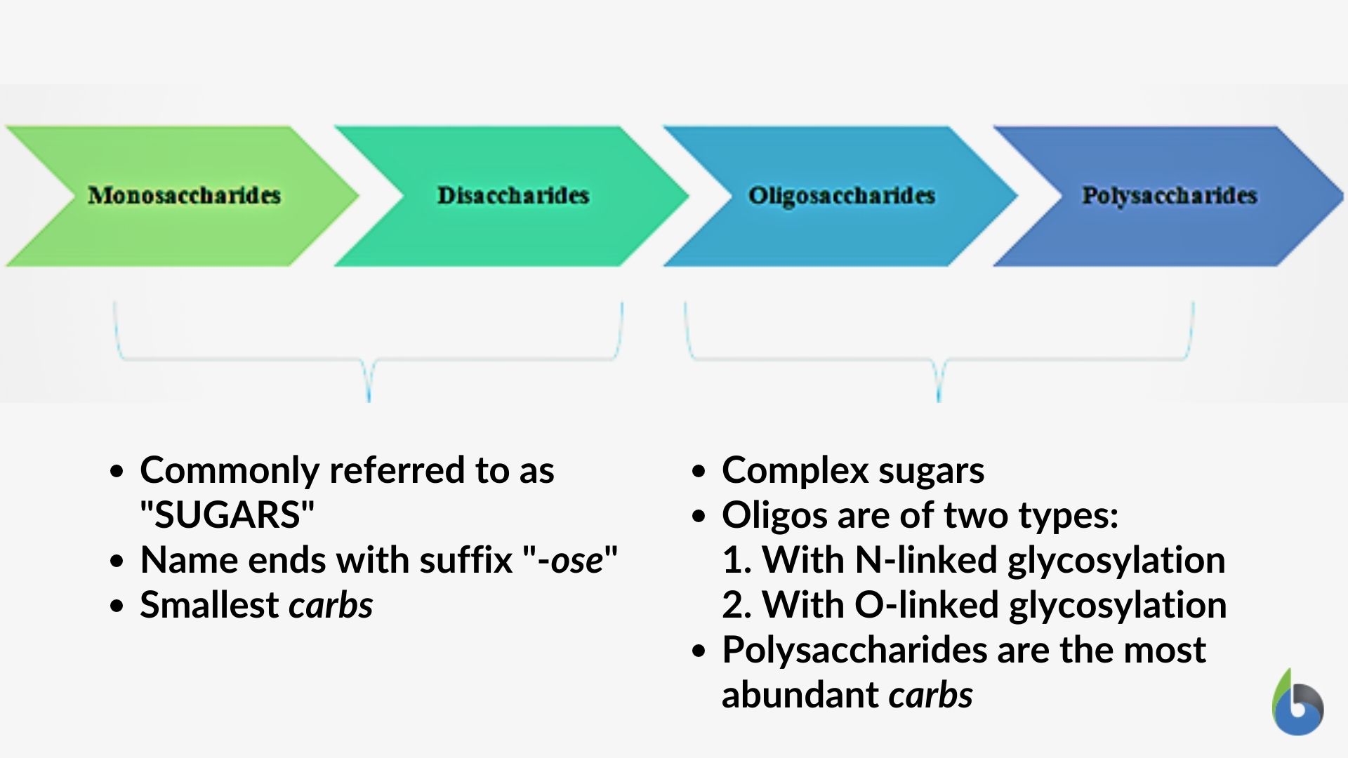 3 main types of carbohydrates