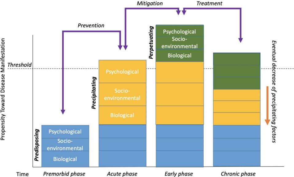 3P-disease model by Wright et al
