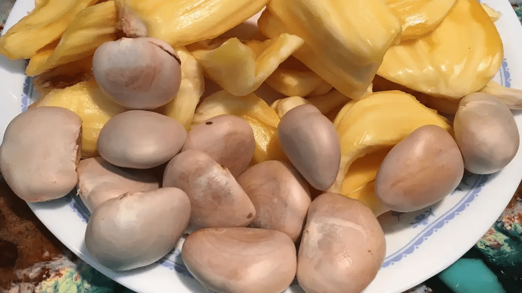 Jackfruit seeds