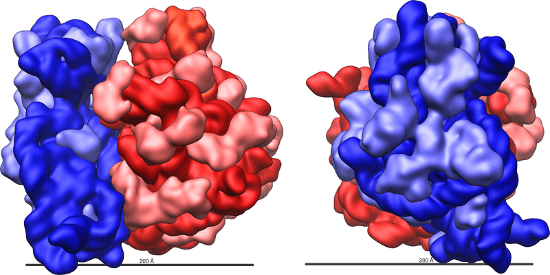 70S Ribosome of prokaryotic E. coli