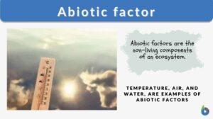 Abiotic factor definition and example