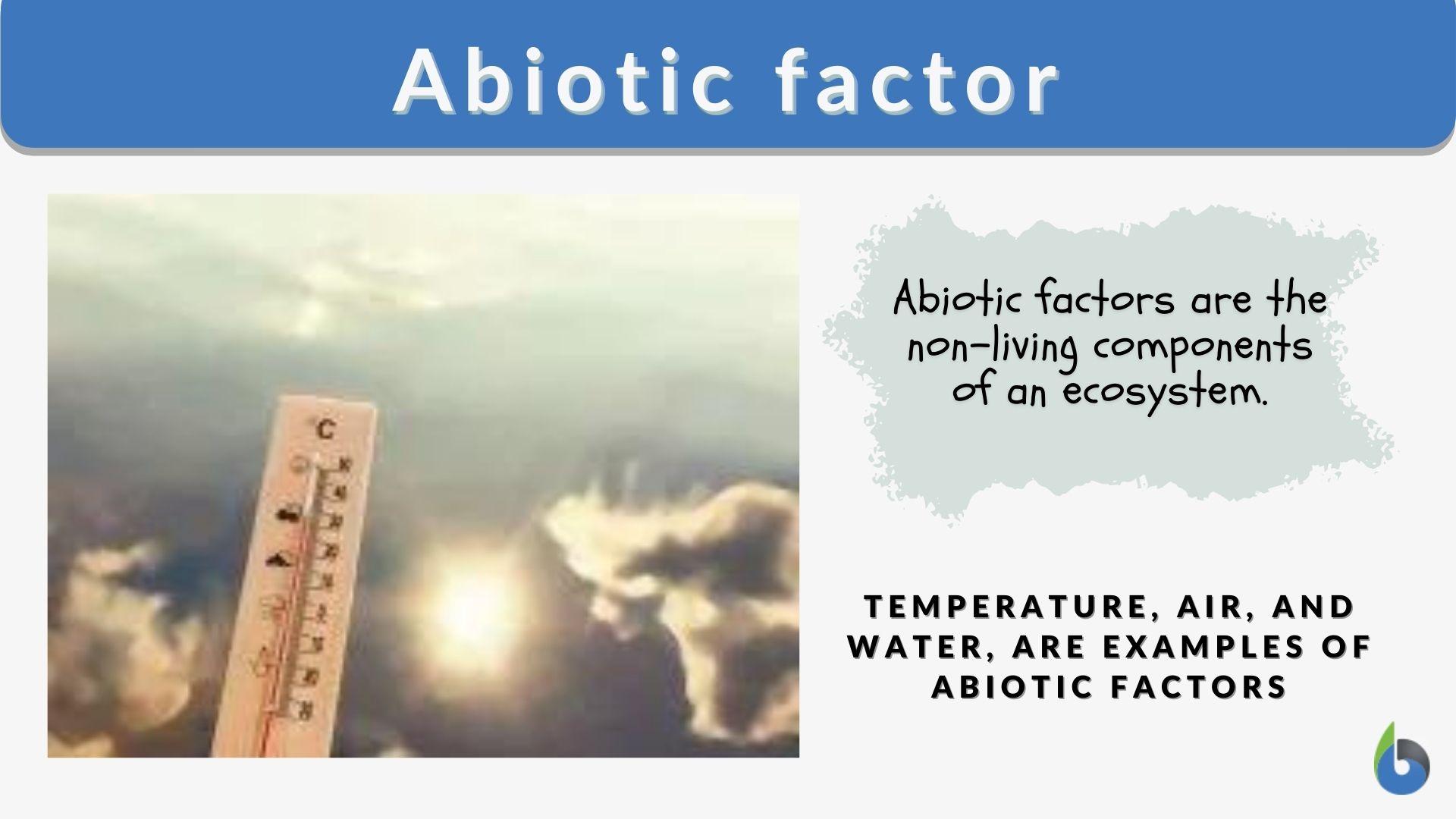 example of abiotic factors