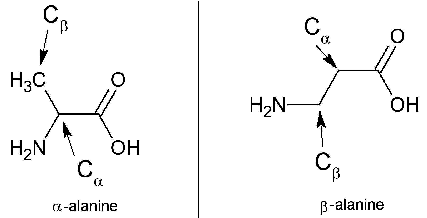 Alpha alanine and beta alanine Structural differences