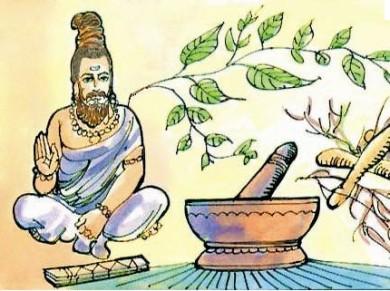 Ancient botany - Ayurveda and Siddha