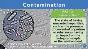Contamination definition and example