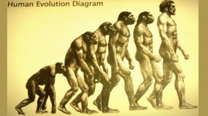 Definition of Evolution