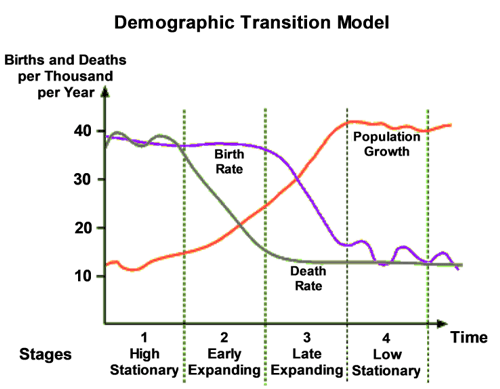 demographic transition theory essay