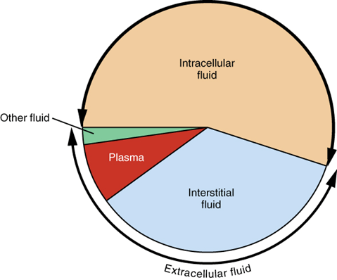 Distribution proportion of different types of fluid
