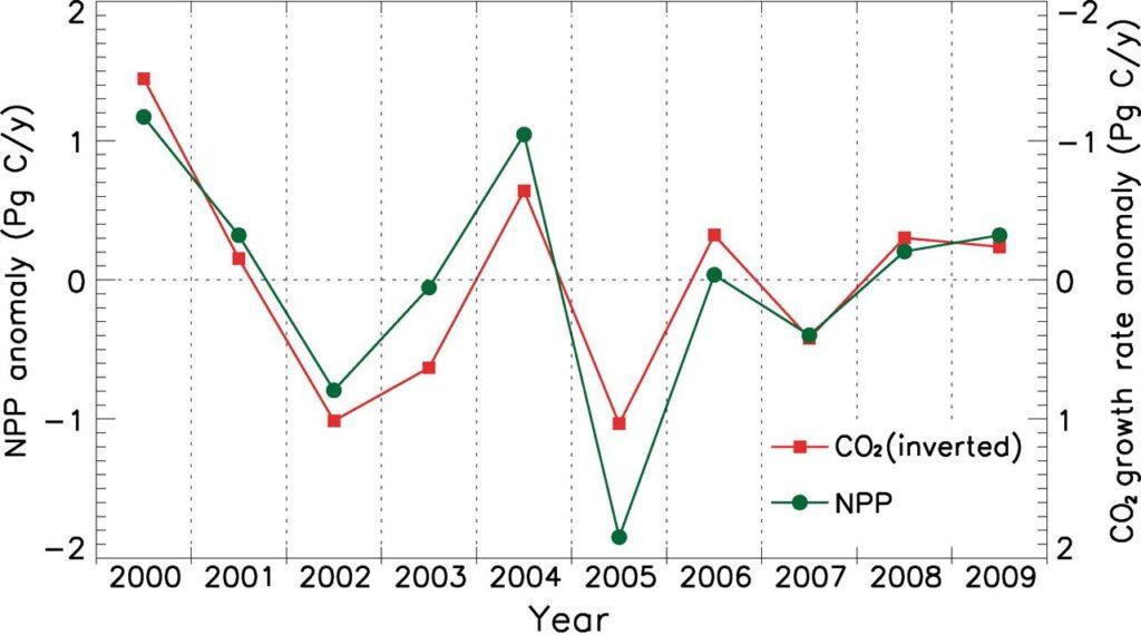 Drought and net primary productivity