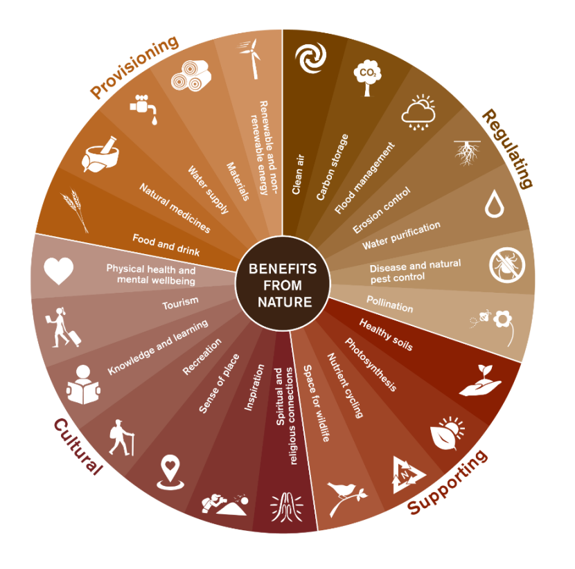 Ecosystem services