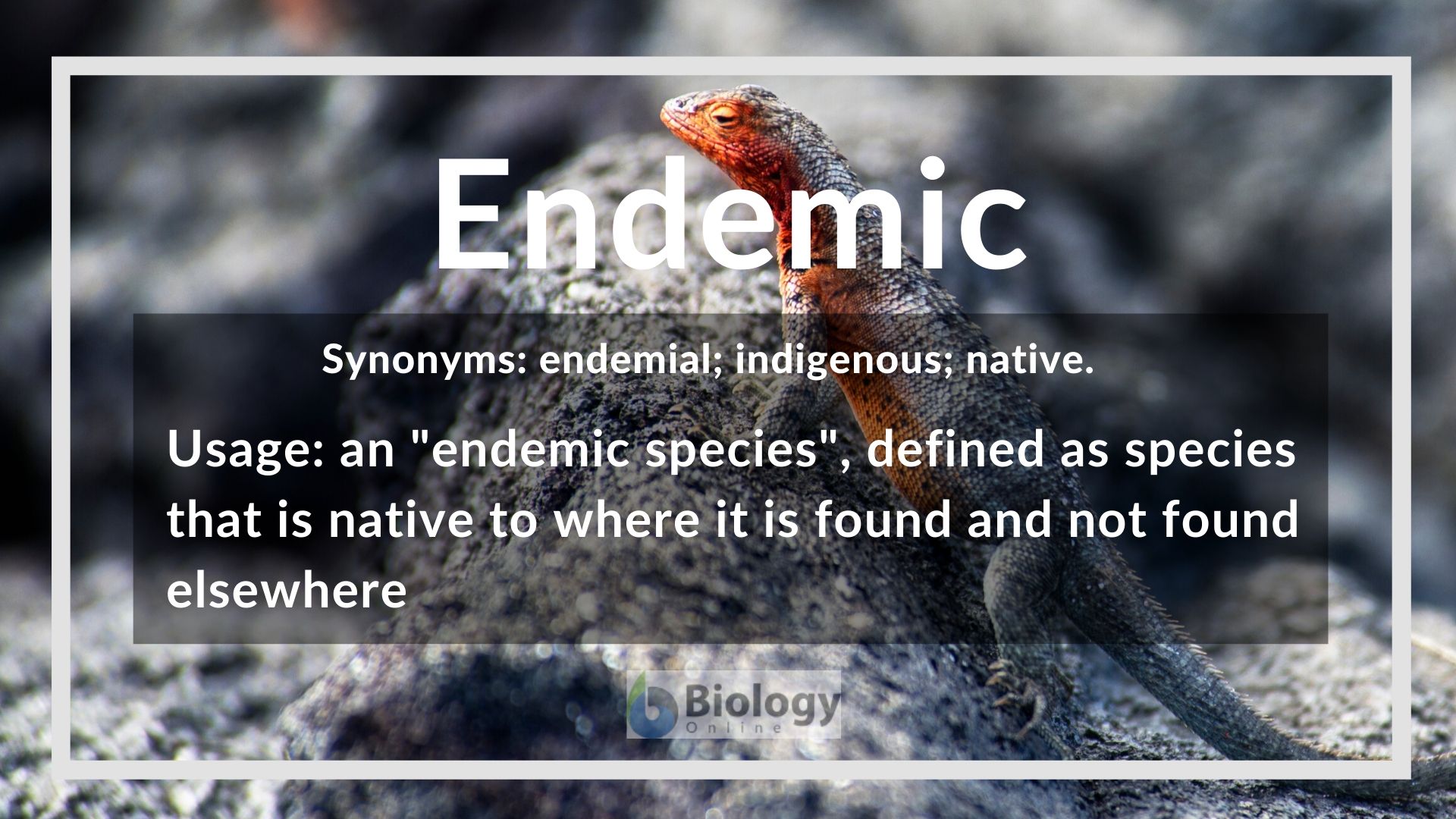 define endemic species in evs