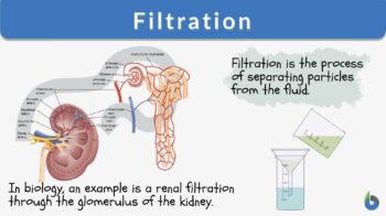 Filtration definition and example