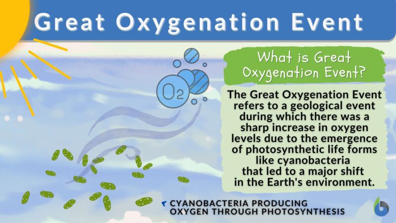 Great Oxygenation Event Definition And Examples Biology Online Dictionary great-oxygenation-event-definition-and-examples-biology-online-dictionary