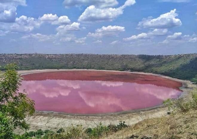 Haloarchaea in Lonar Lake India