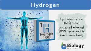 Hydrogen definition