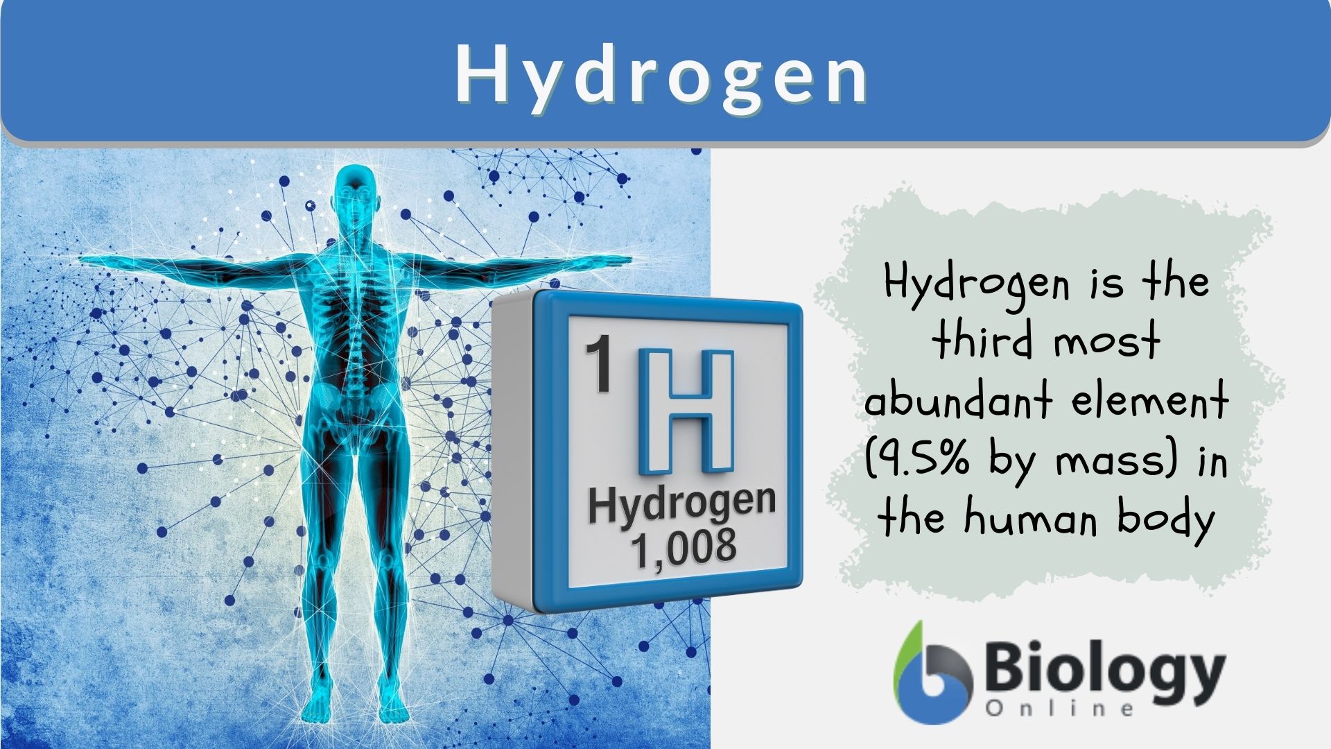 Hydrogen Element Model