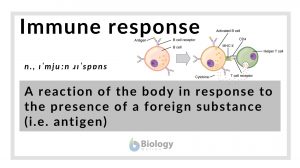 Immune response definition