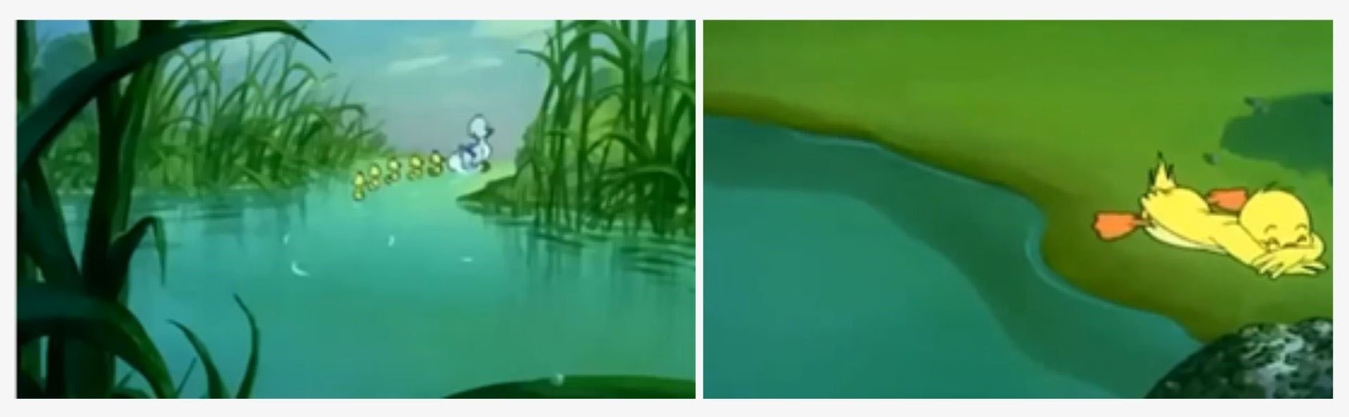 Imprinted-ducklings-in-cartoon-show-Tom-and-Jerry