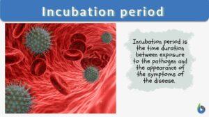 Incubation period definition and example
