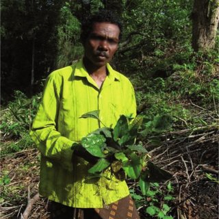 Kani tribe man with the plant Trichopus zeylanicus