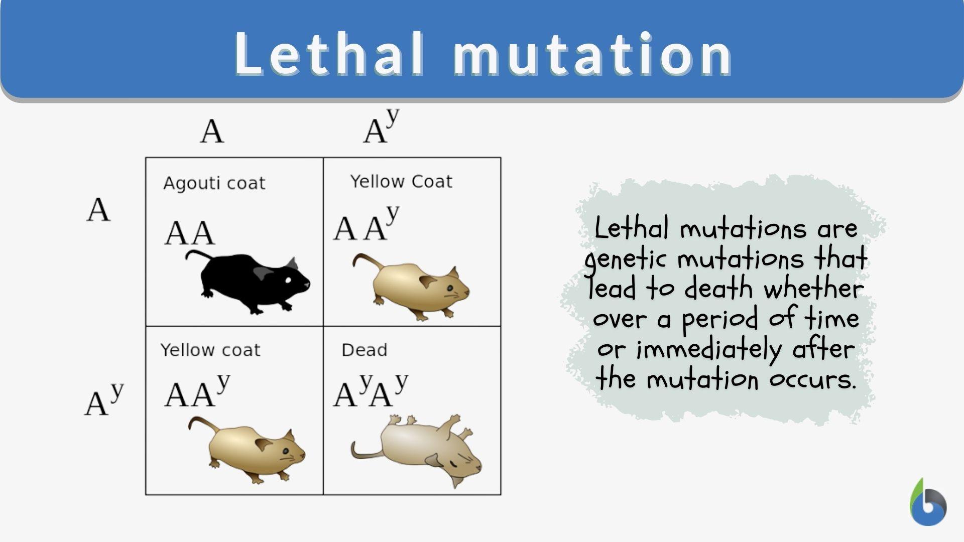 Lethal mutation Definition and Examples - Biology Online Dictionary
