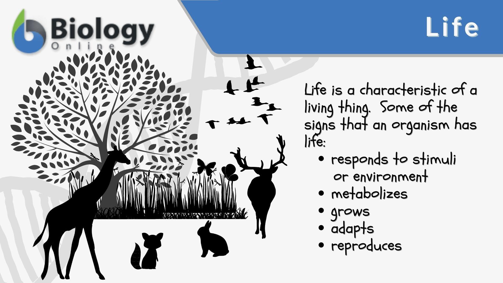 Life Definition and Examples - Biology Online Dictionary