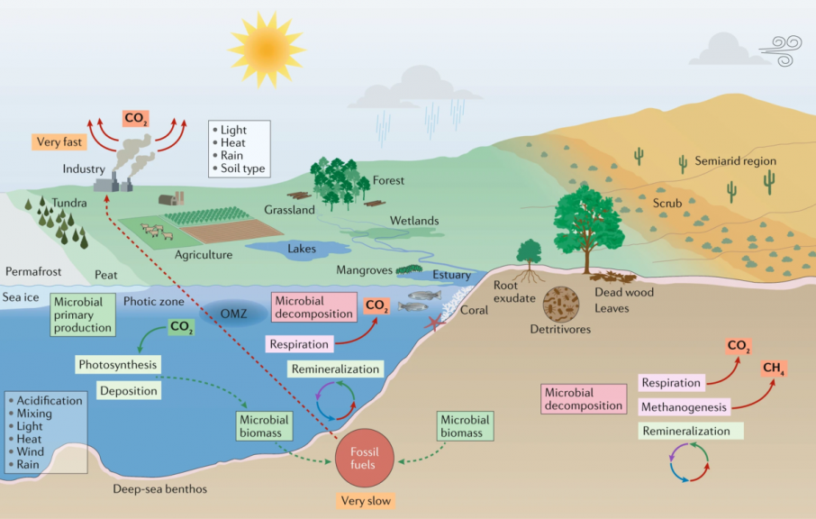 Microorganisms_and_climate_change