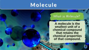 Molecule definition and example