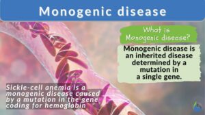 Monogenic disease definition and example