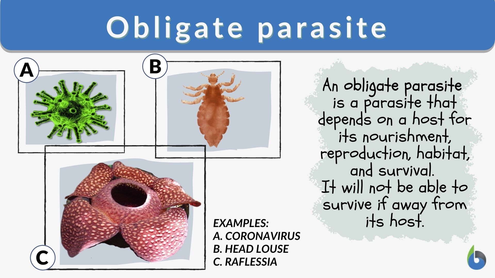 Obligate parasite - Definition and Examples - Biology Online Dictionary