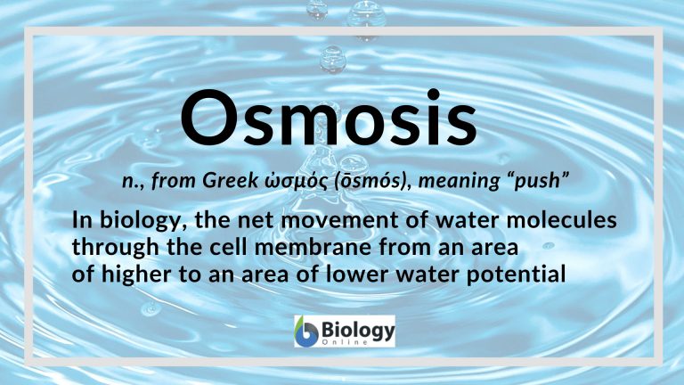 Osmosis definition