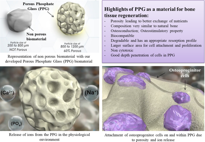 PPG material constituting phosphate for bone tissue regeneration