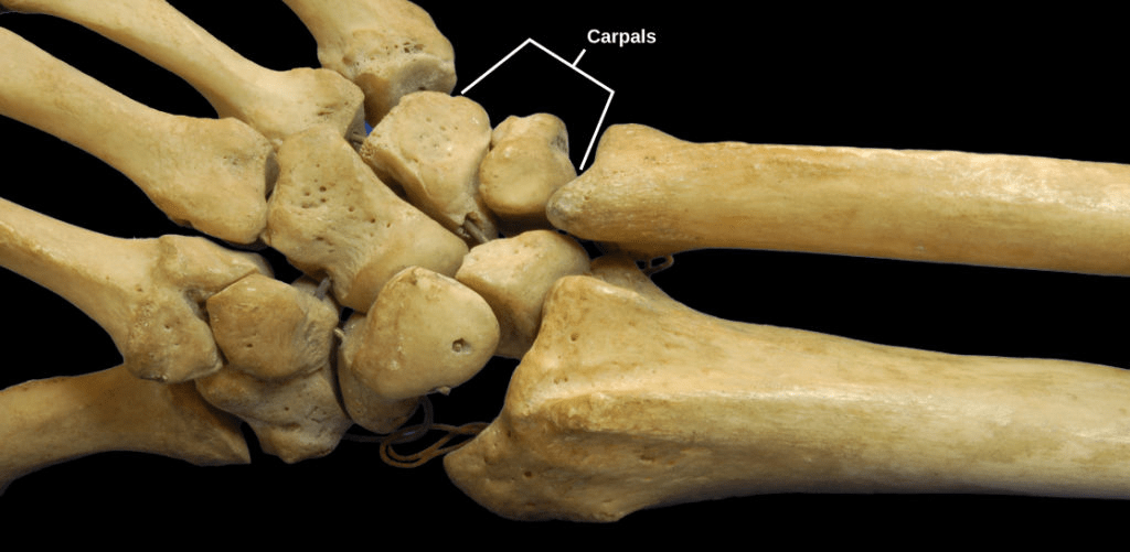 Planar joint