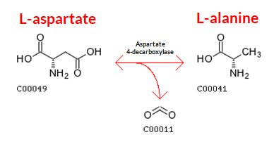 Production of L-alanine