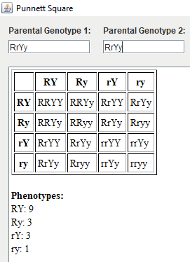 punnett square calculator eye color